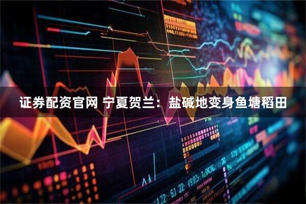 证券配资官网 宁夏贺兰：盐碱地变身鱼塘稻田